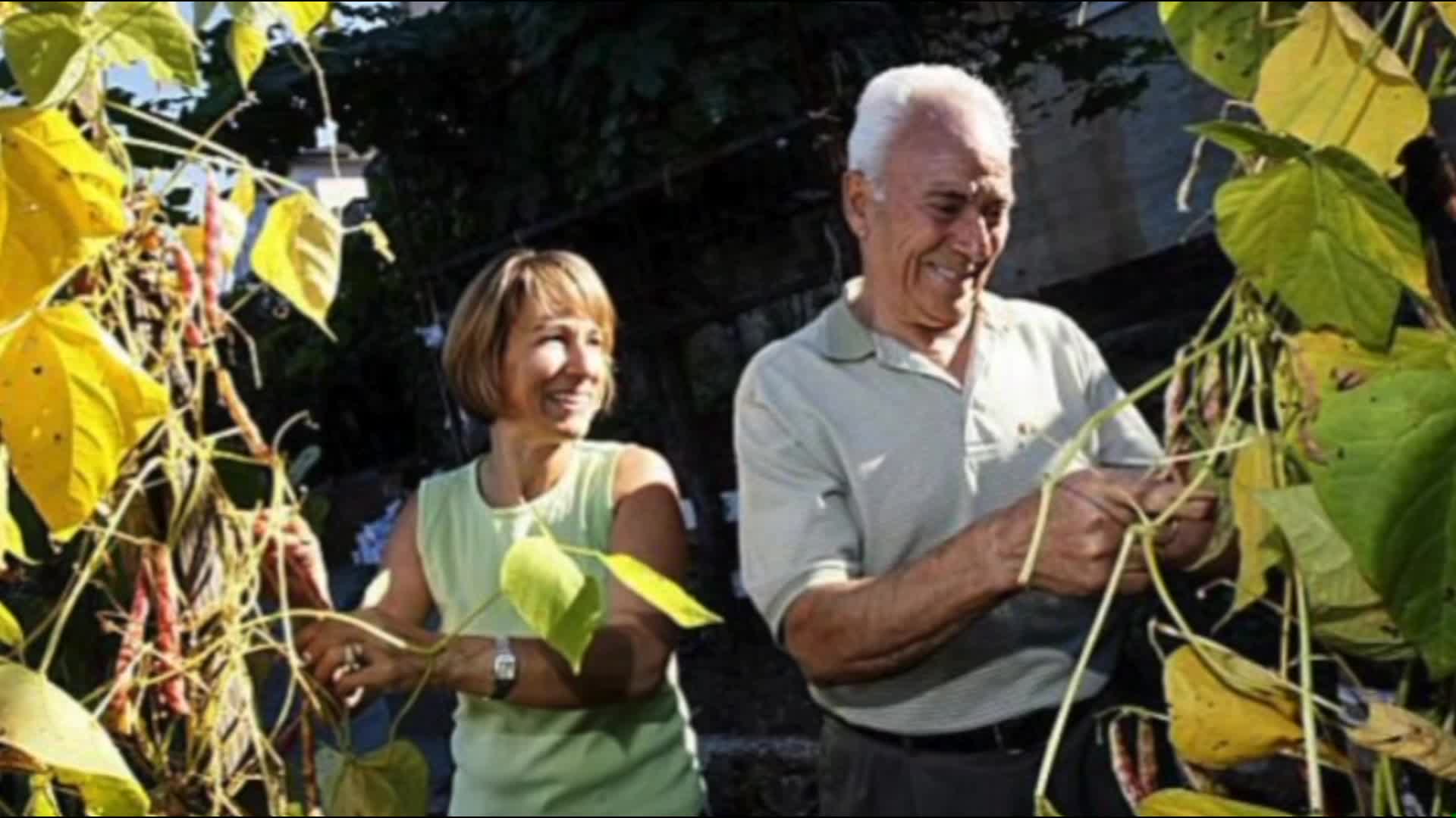 Get Lit: Rosetta Constantino